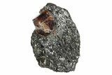 Fluorescent Zircon Crystal in Biotite Schist - Norway #175871-1